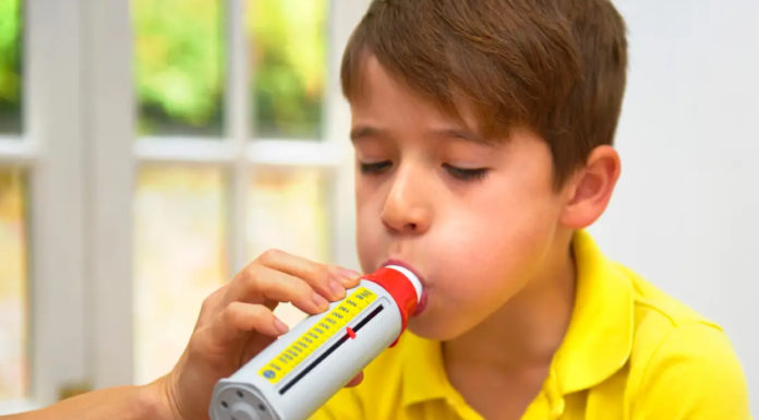 peak flow meter